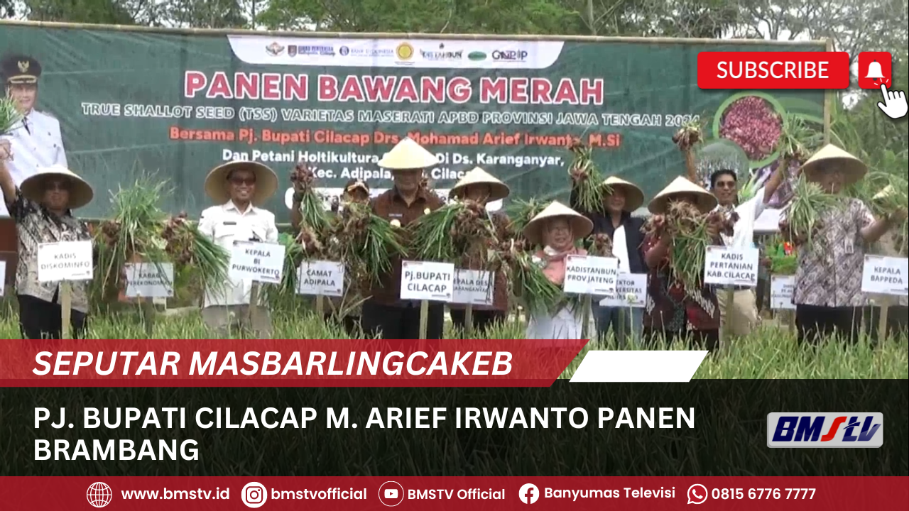 PJ. BUPATI CILACAP M. ARIEF IRWANTO PANEN BRAMBANG