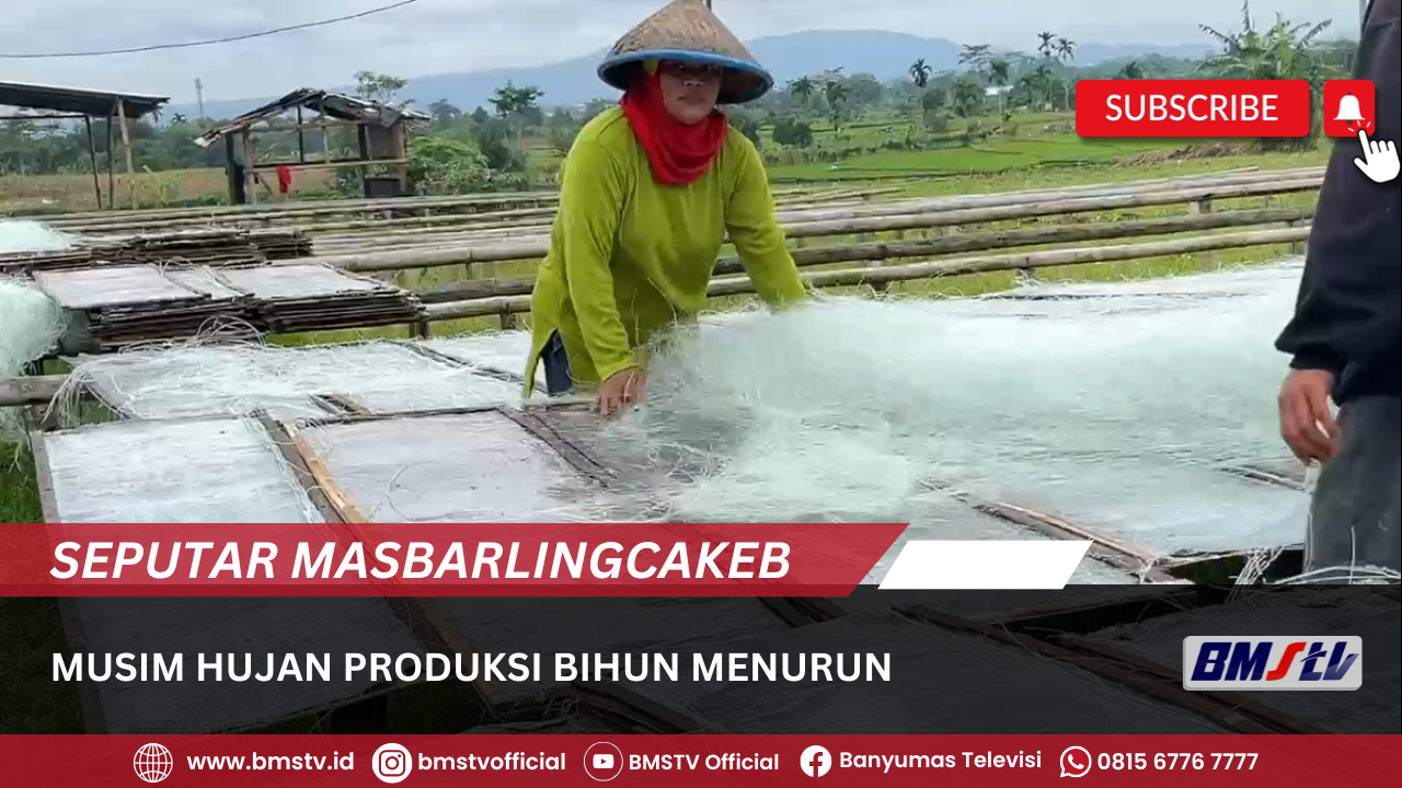 MUSIM HUJAN  PRODUKSI BIHUN MENURUN