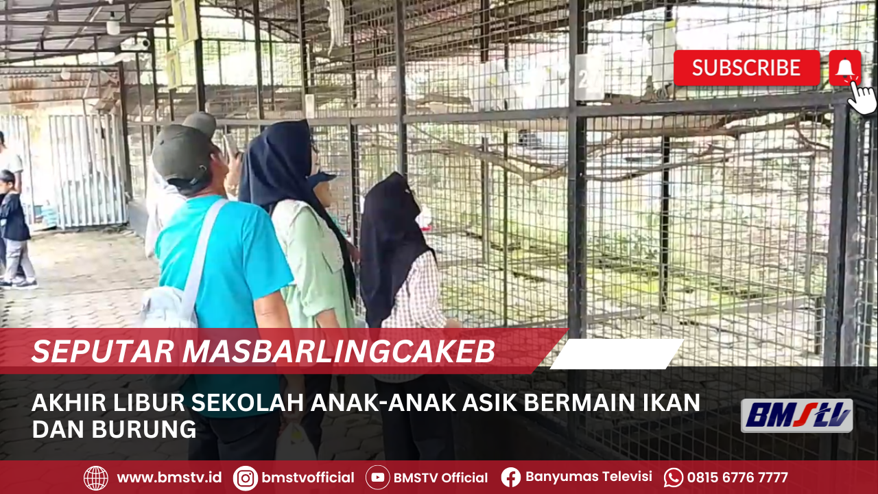 AKHIR LIBUR SEKOLAH ANAK-ANAK ASIK BERMAIN IKAN DAN BURUNG